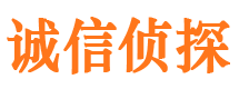 吴起外遇出轨调查取证